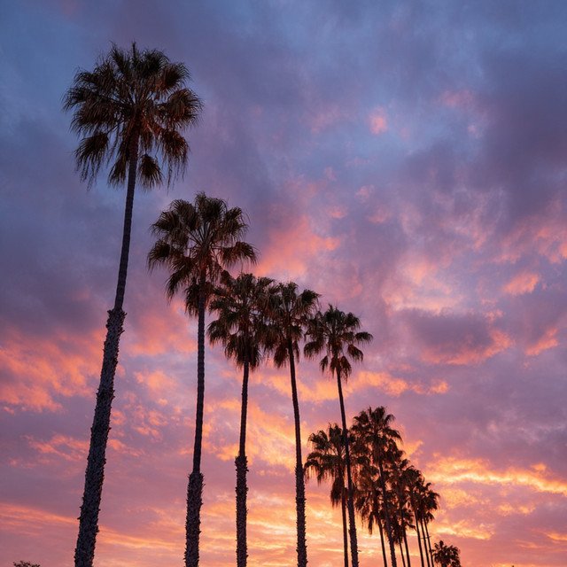 West Coast