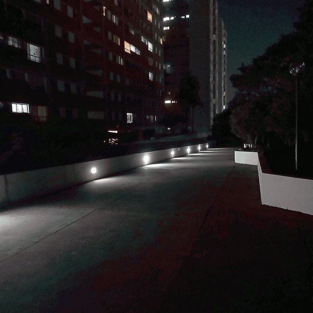 Luna's Night