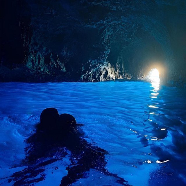 aquatic love