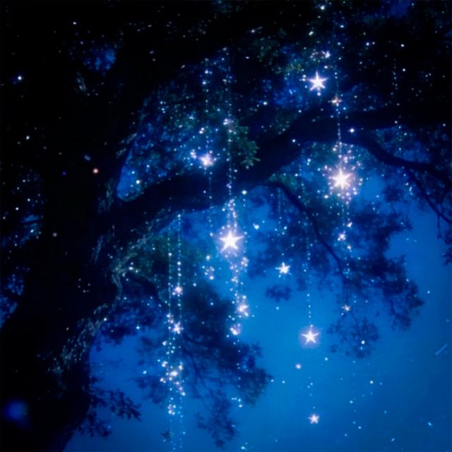 North Star