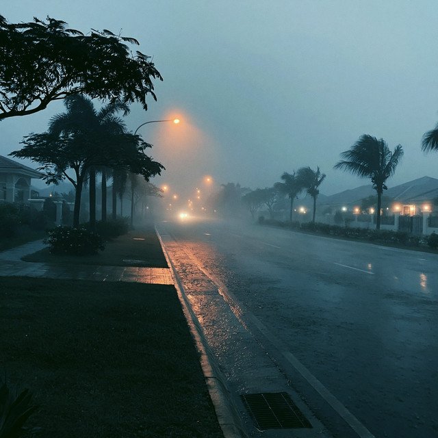 Deluge