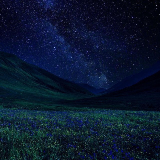 starry skies