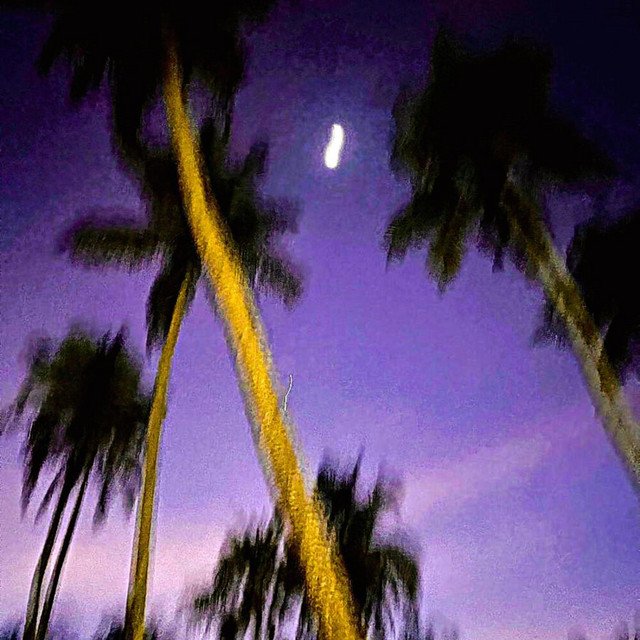 4AM