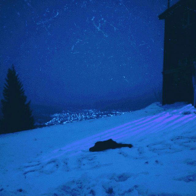 snow stars