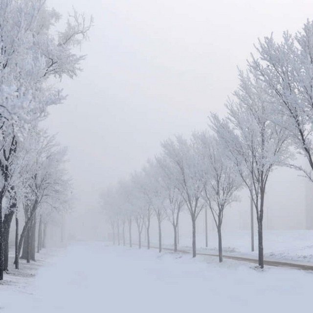 snowy