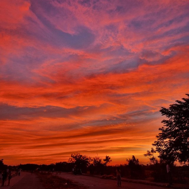 orange sky